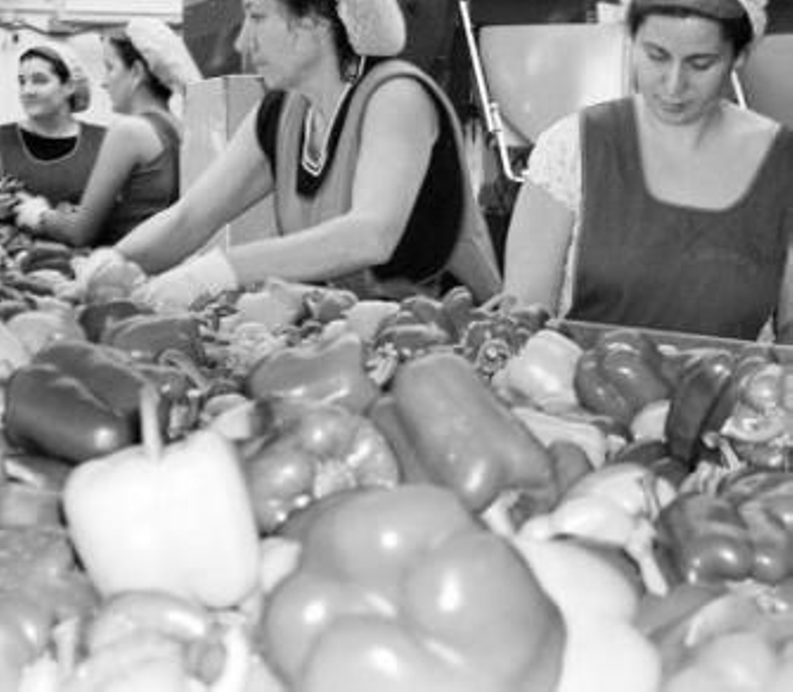 Imagen de las manipuladoras trabajando en Ejidomar.