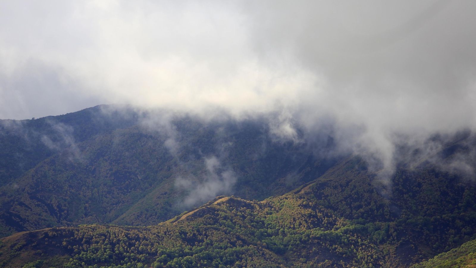 Imagen de la zona quemada en la Resinera