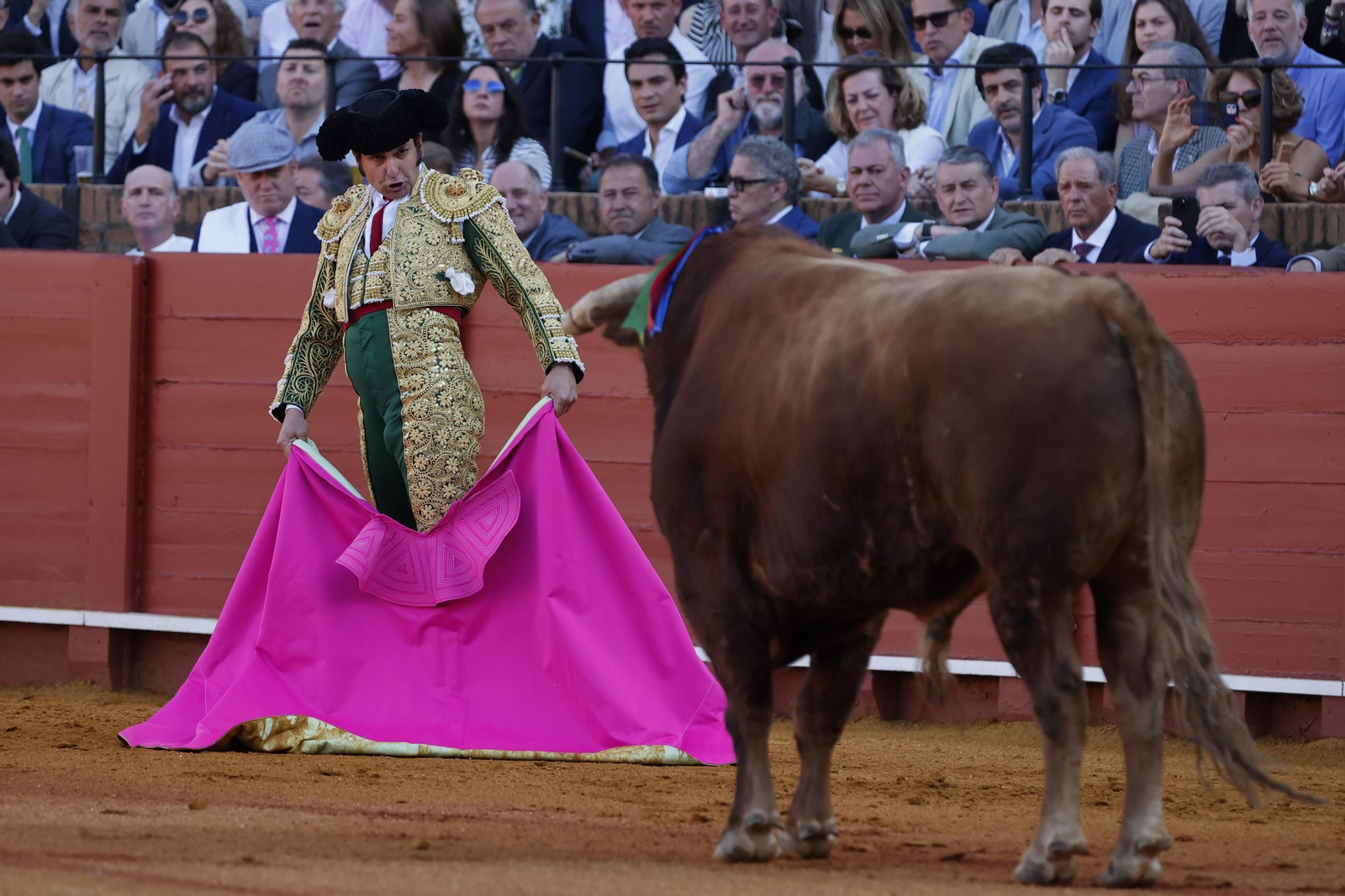 Las imágenes de la corrida