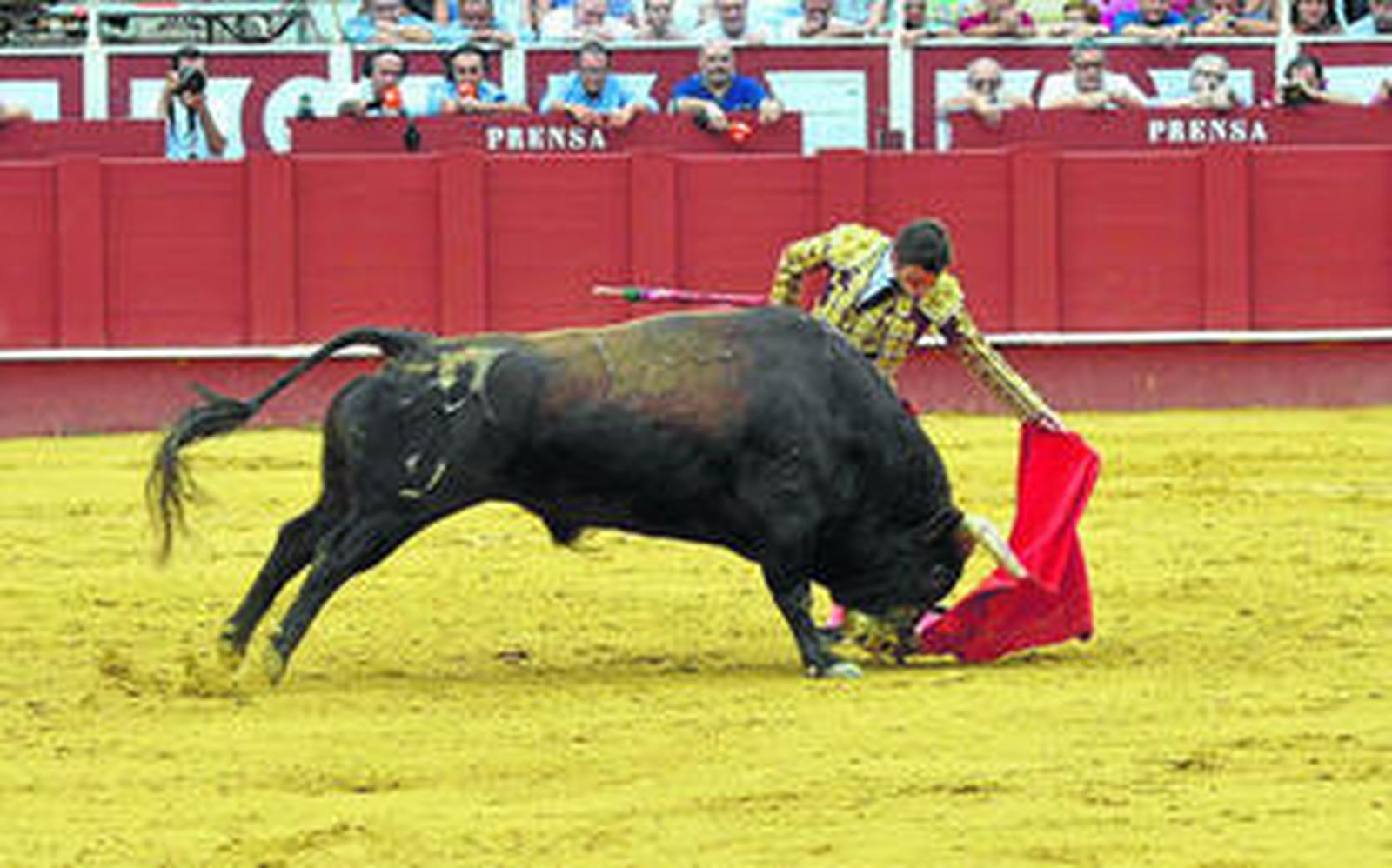 Fernando Robleño torea al natural al sobrero de El Torreón.