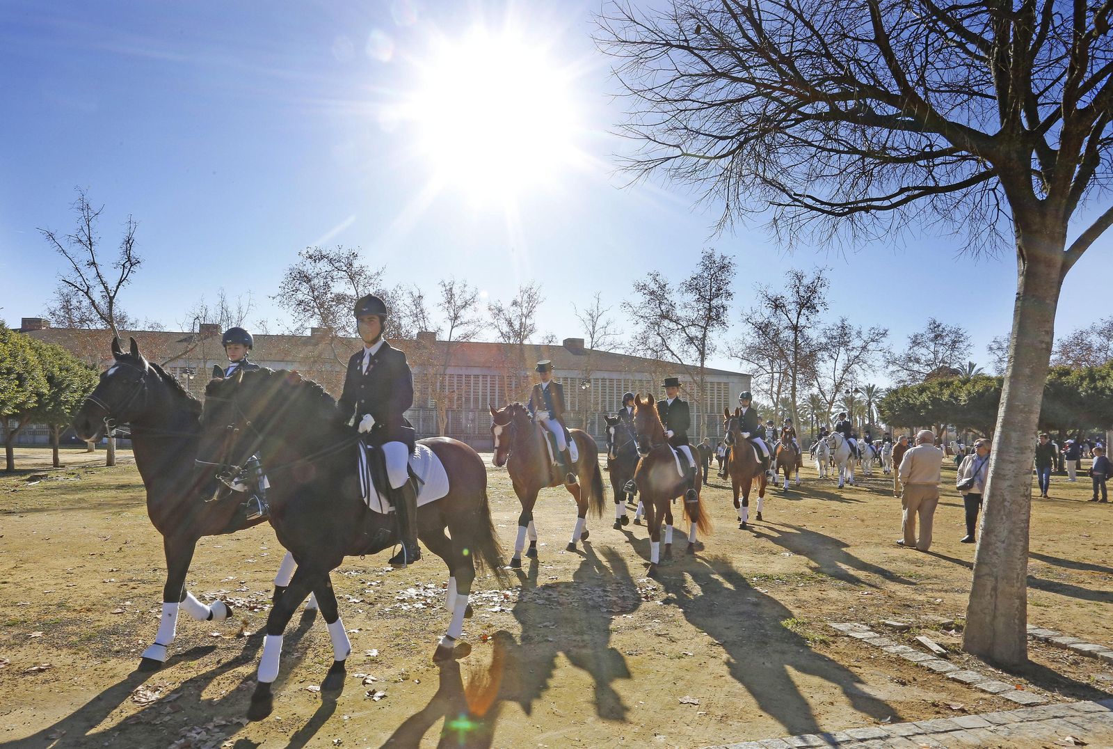 Las imágenes de la fiesta de San Antón
