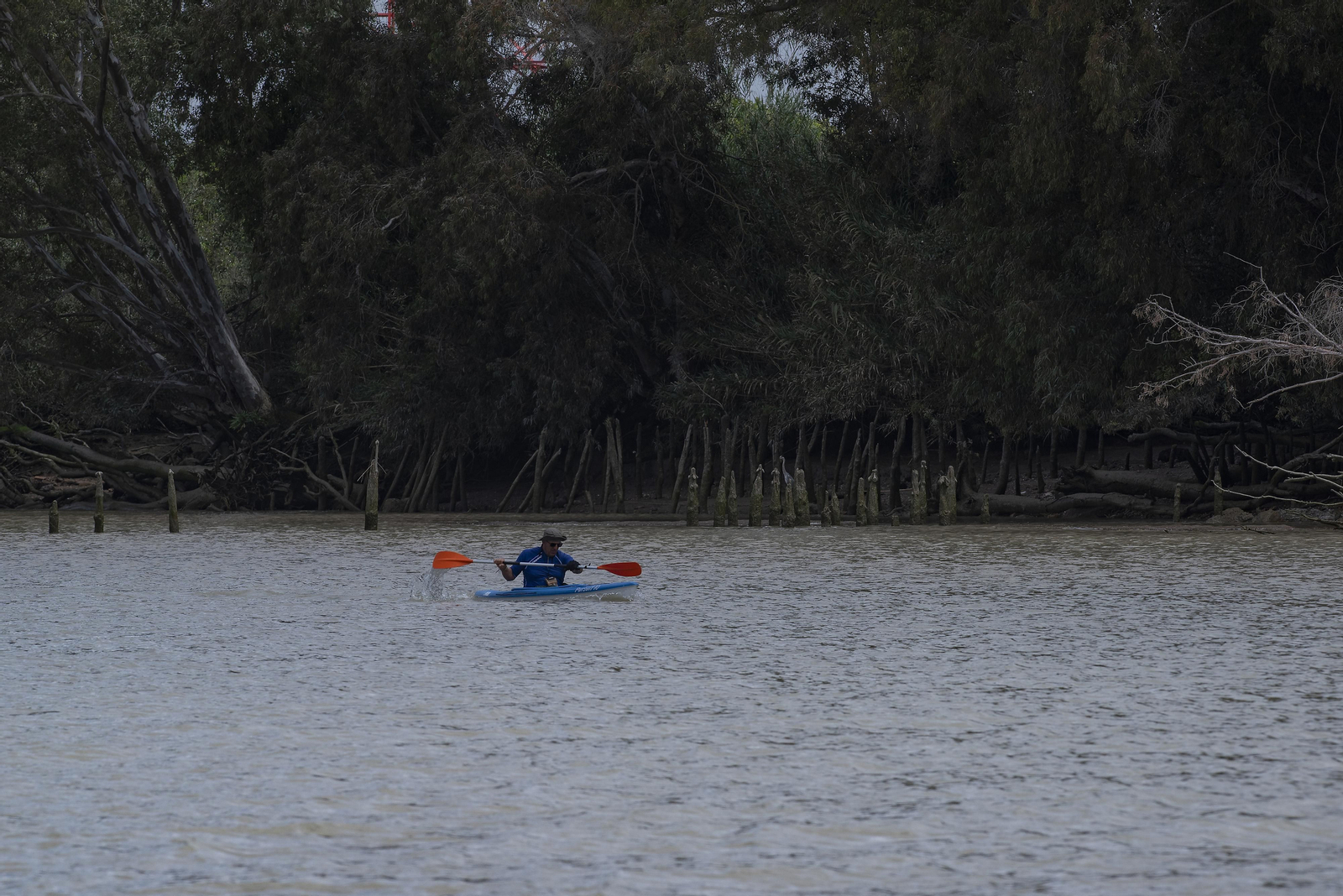 Travesía en barco por el Guadalquivir