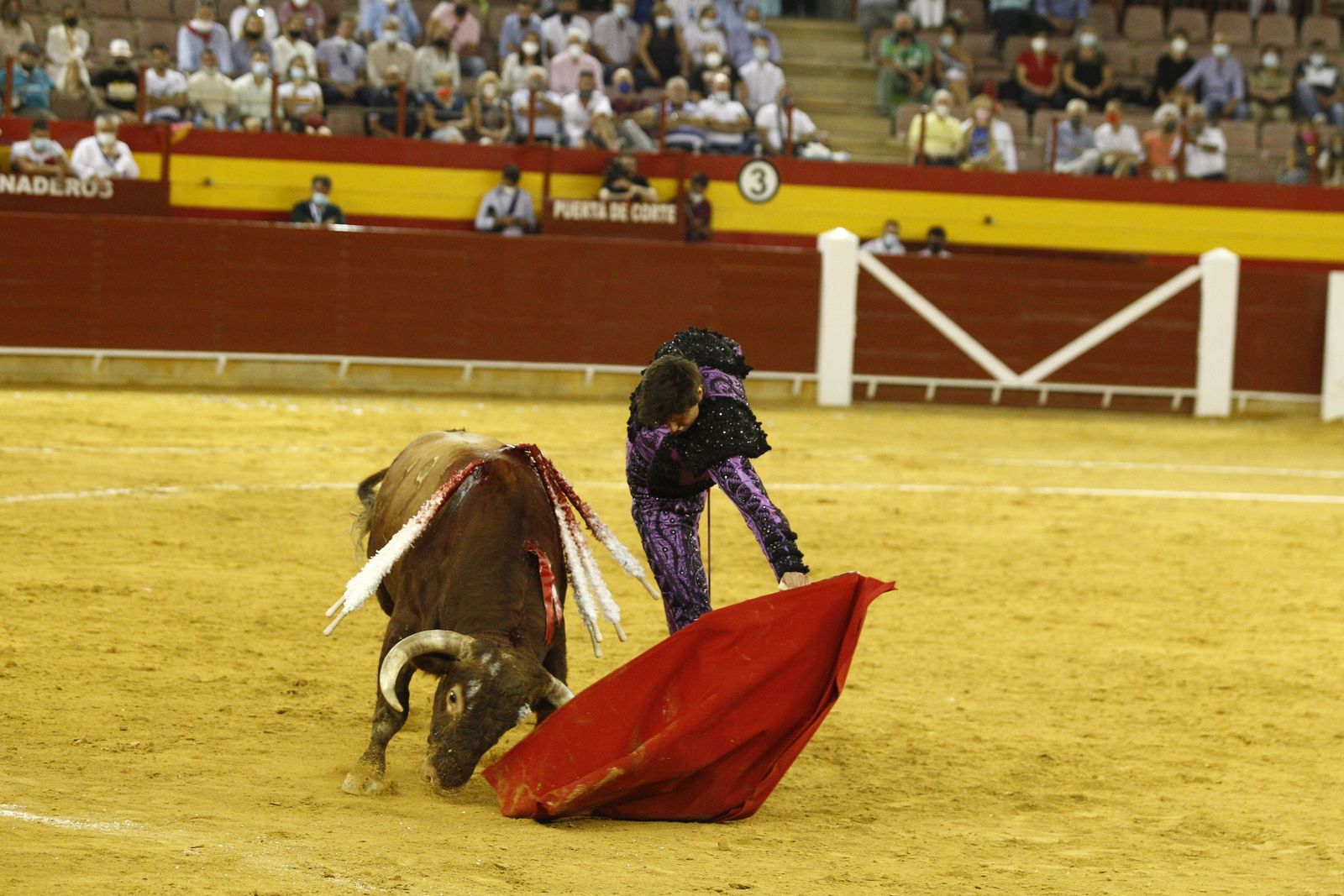 Fotogalería corrida de toros. Cayetano Rivera, Paco Ureña y Roca Rey. Roquetas de Mar.