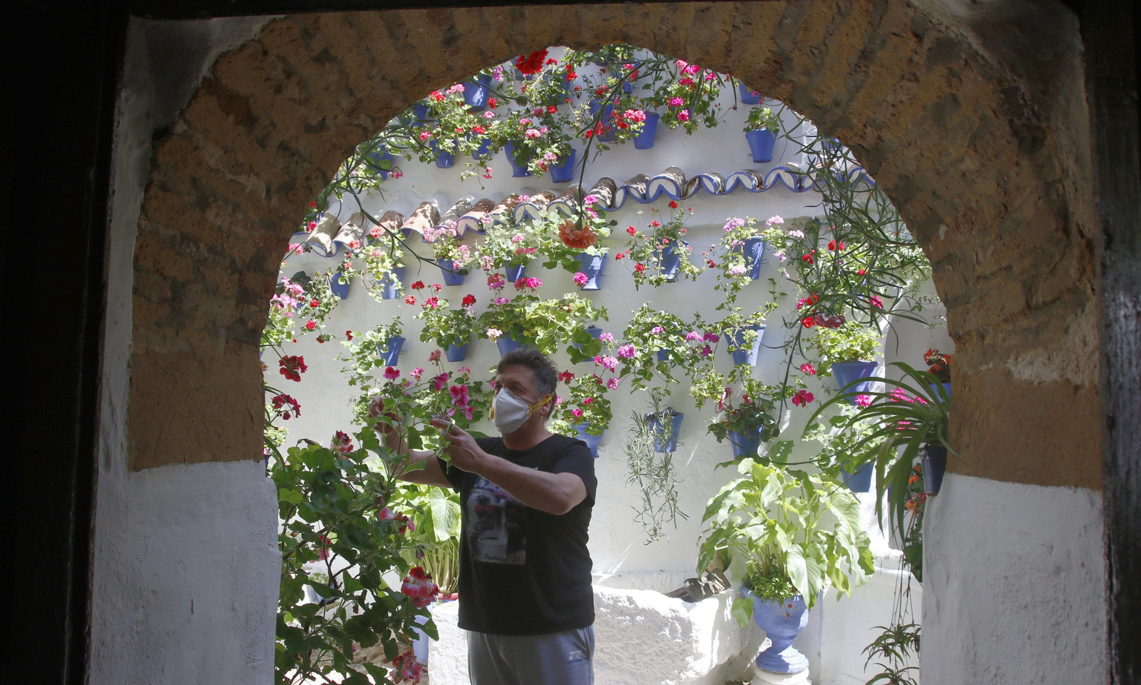 Las fotos de los Patios de Córdoba en tiempos de crisis: Postrera, 28