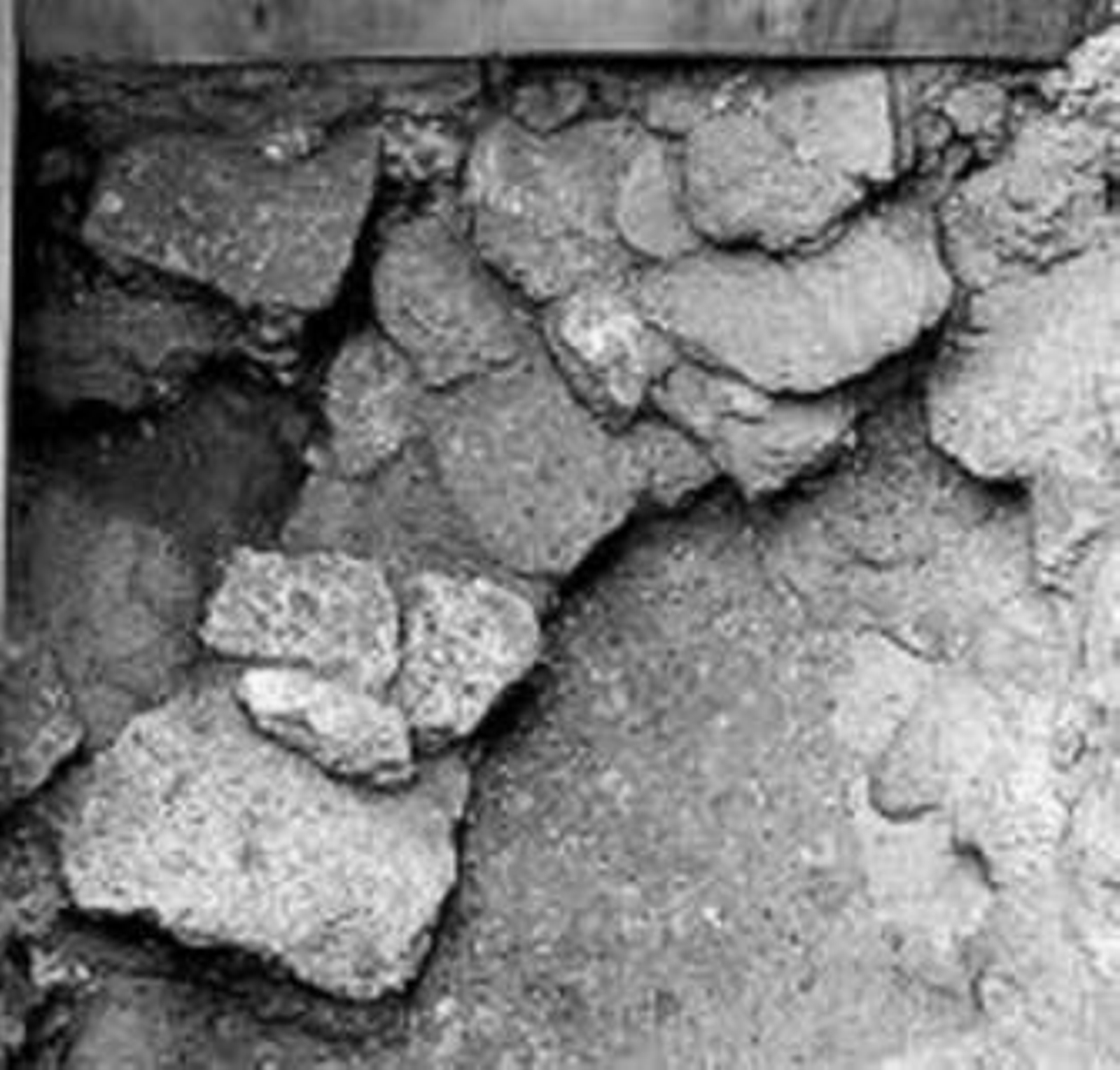 Restos del muro del S. VIII a. C.