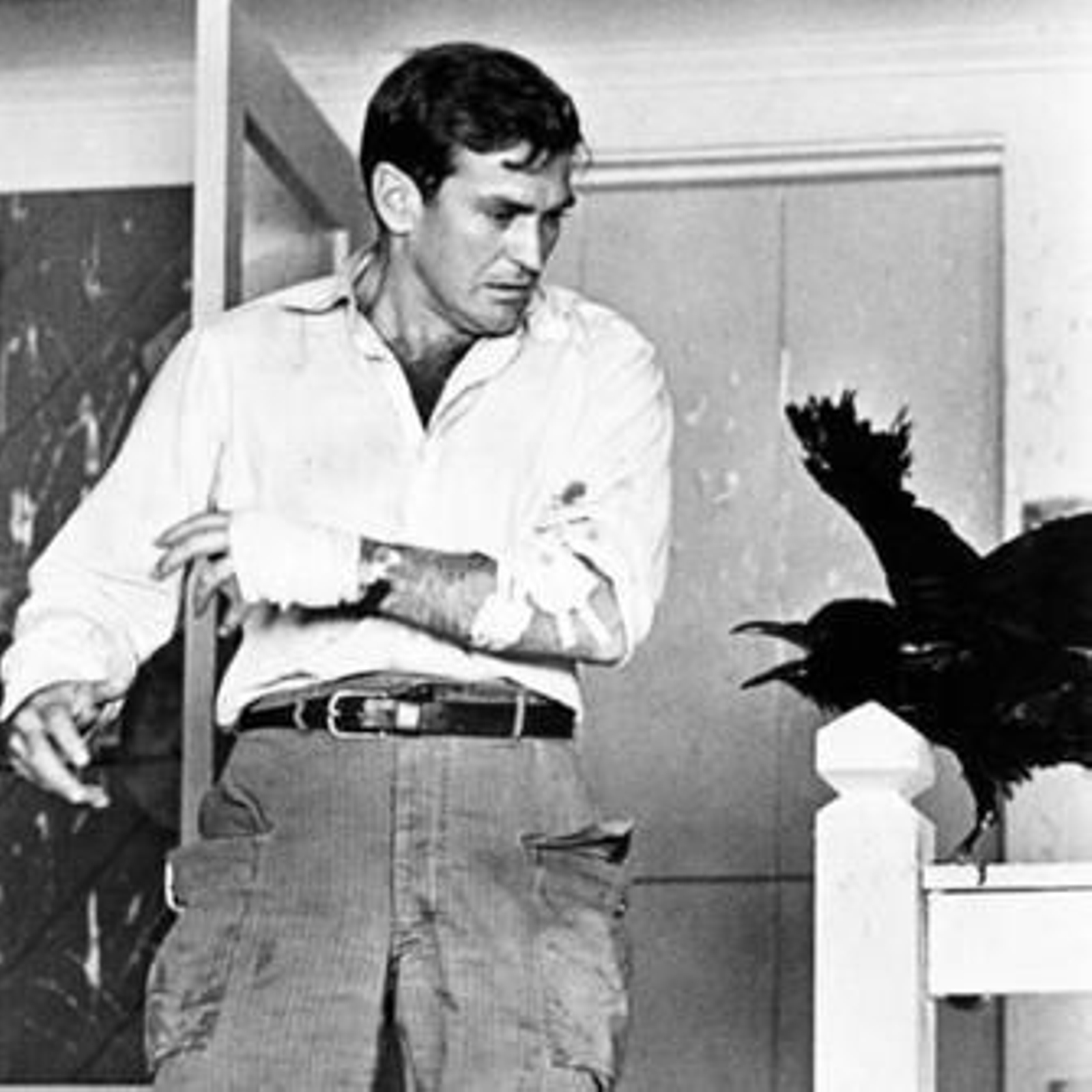 Rod Taylor, en 'Los pájaros' (1963) de Alfred Hitchcock. Rod Taylor, en 'Los pájaros' (1963) de Alfred Hitchcock.