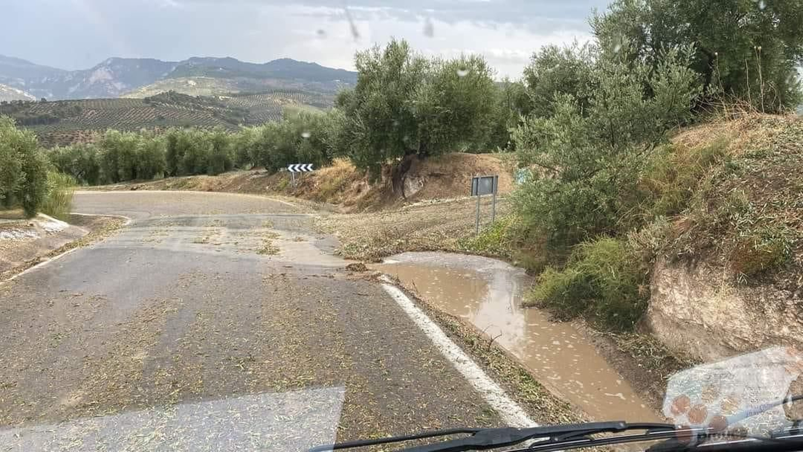Daños del granizo en Mogón.