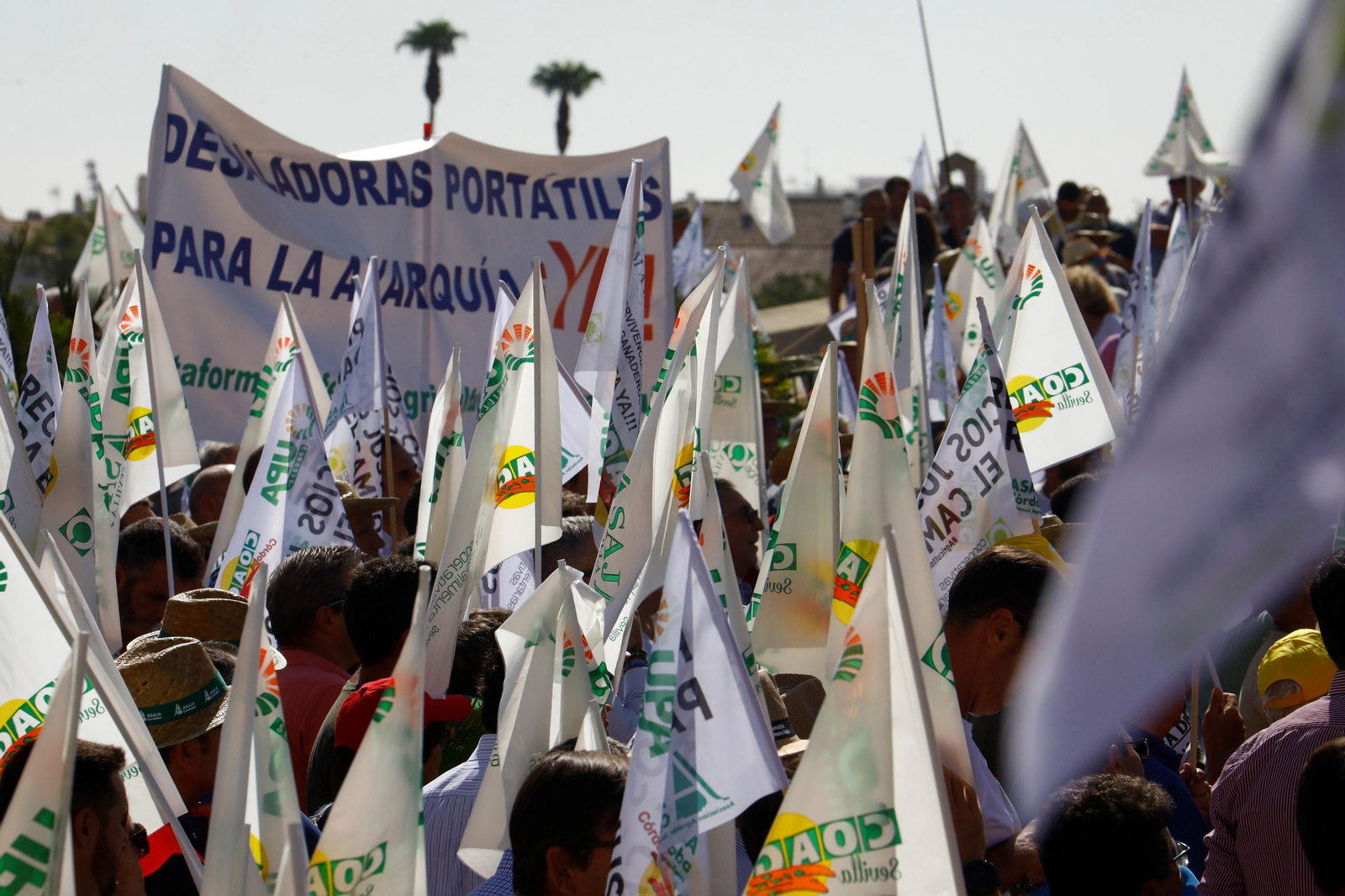 La protesta del sector agrario contra las políticas de la UE en Córdoba, en imágenes