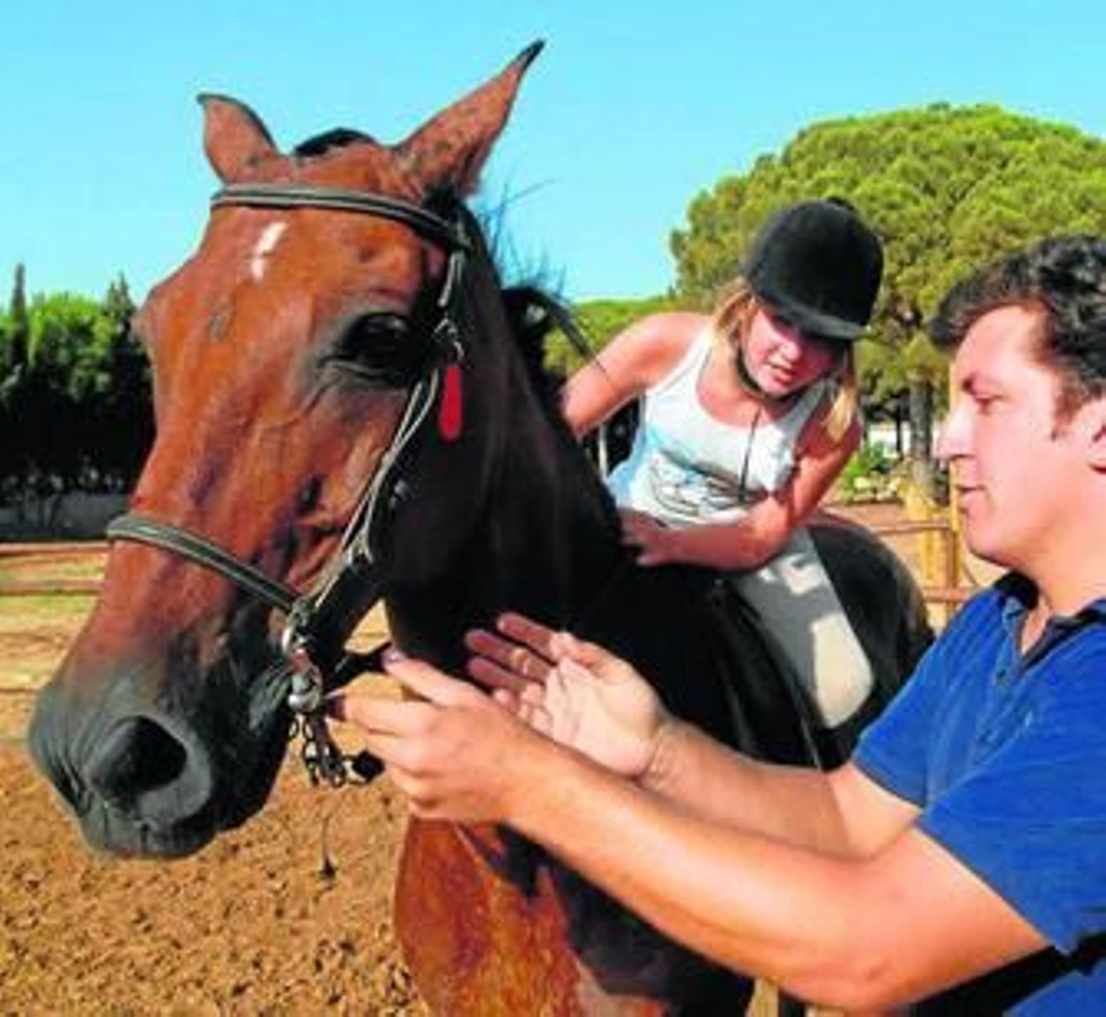 El Royal Center, un paraíso para los amantes del caballo