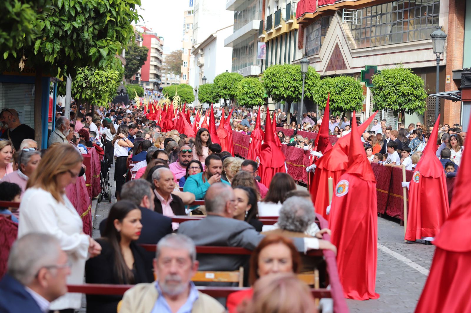 Imágenes del recorrido de la Borriquita  por las calles de Huelva