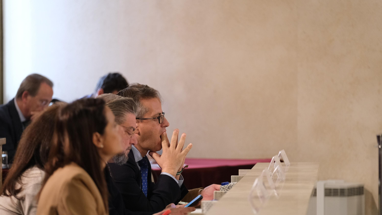 Imágenes del Pleno del Ayuntamiento de Almería