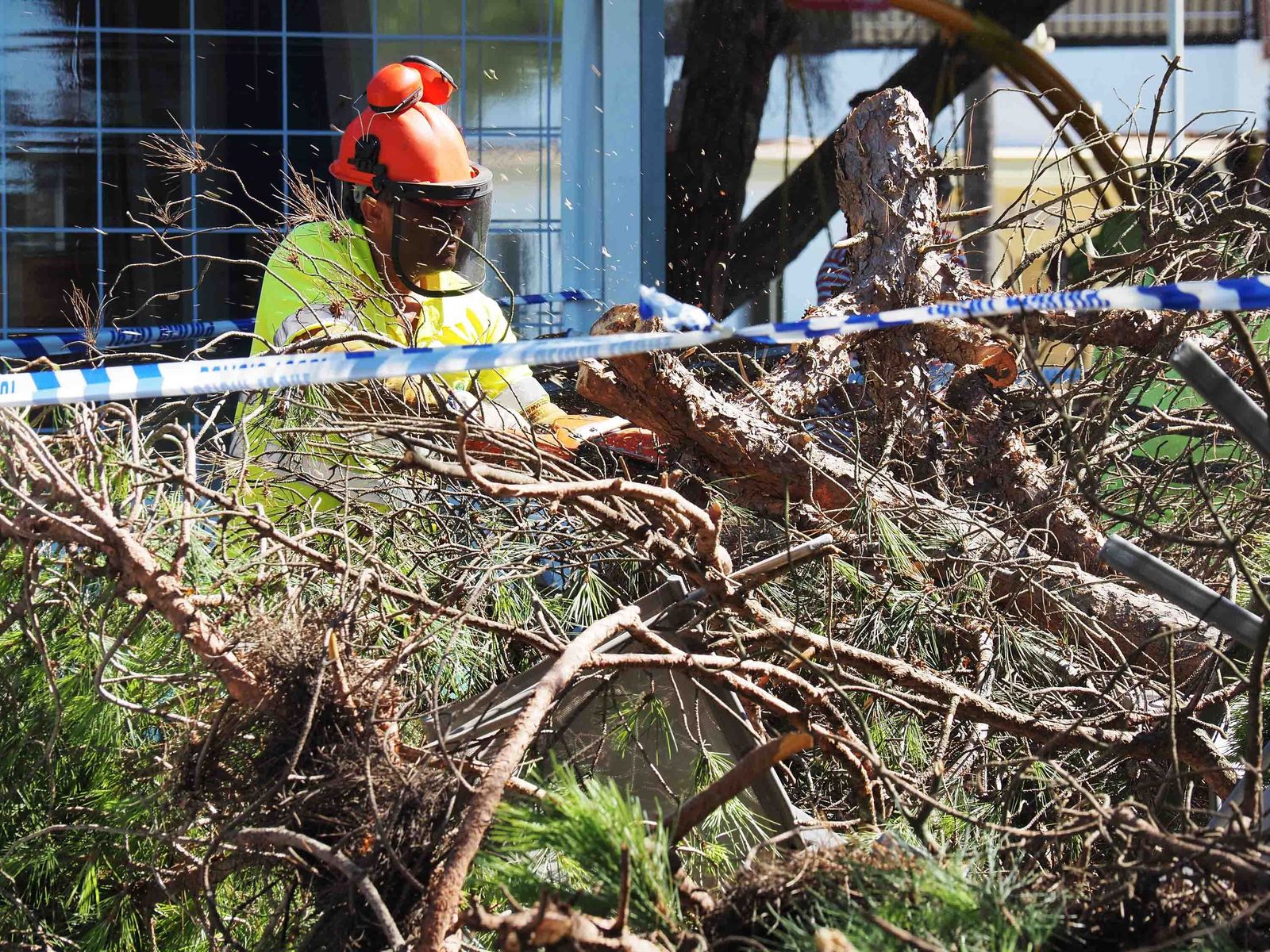 Un pino cae sobre las mesas de un restaurante en Nuevo Portil.