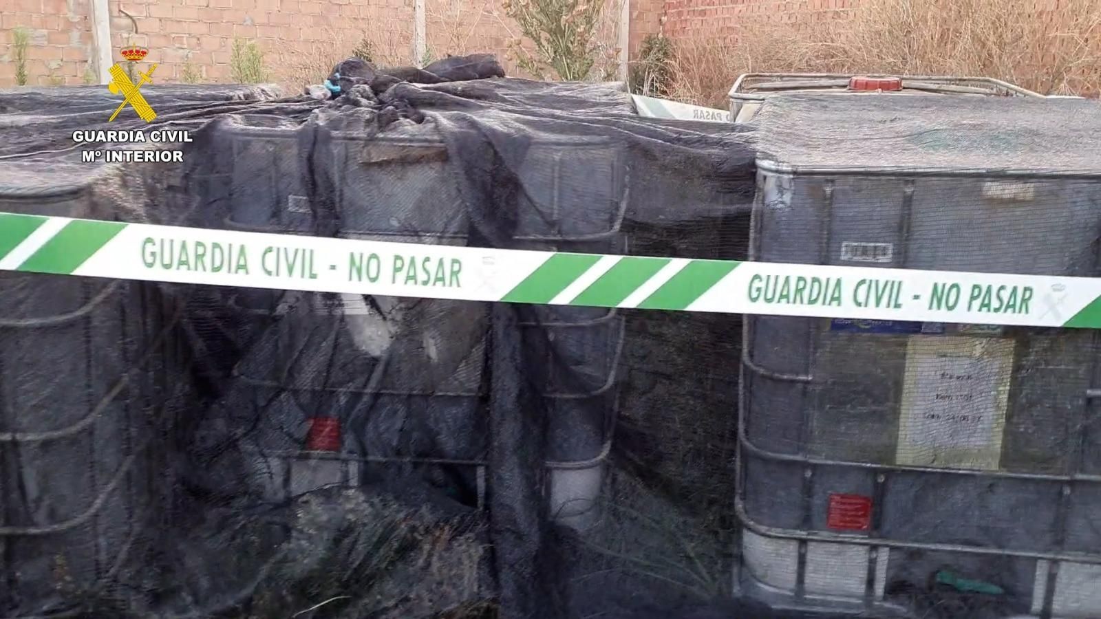 El aceite precintado por la Guardia Civil.