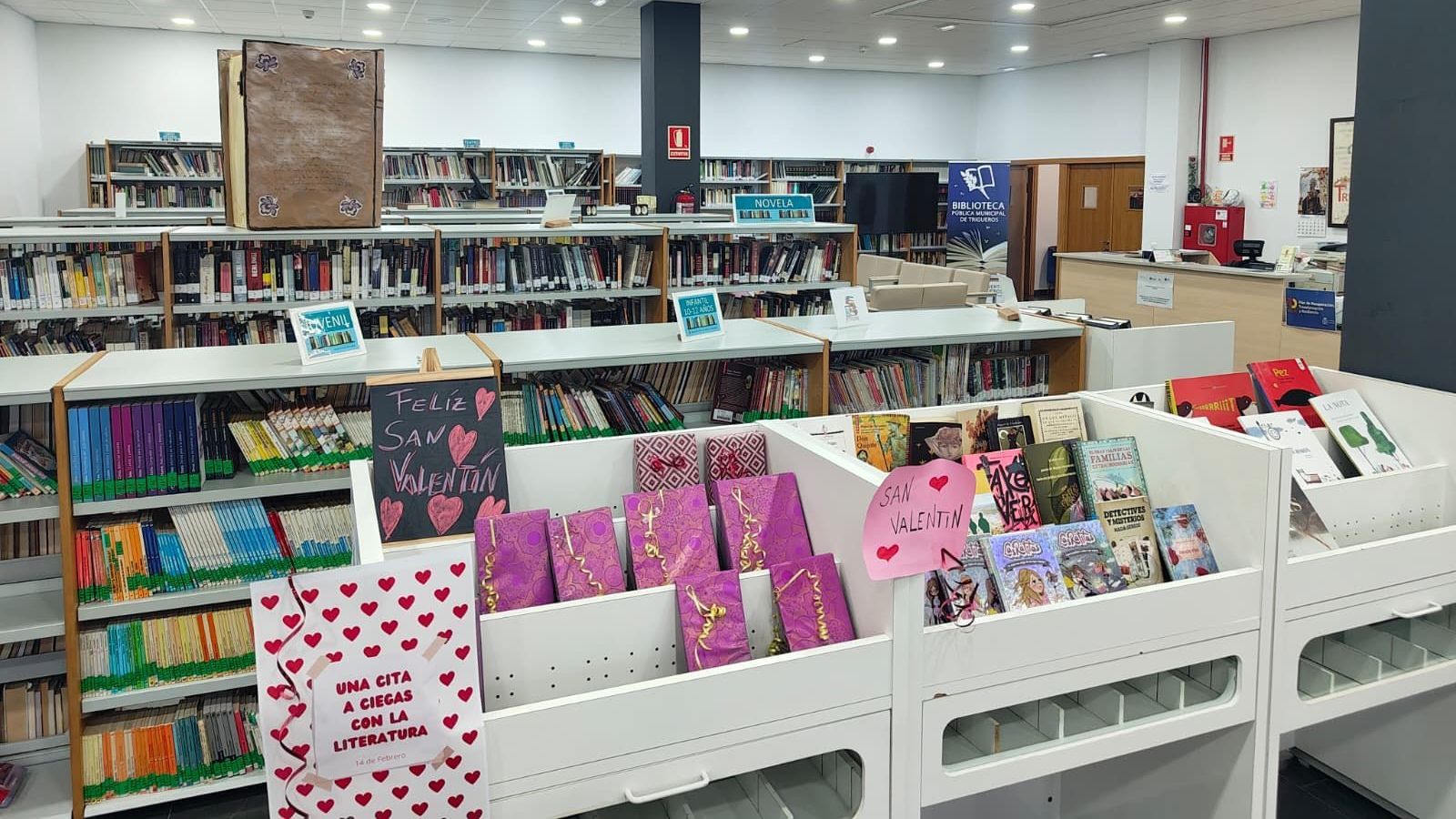 Biblioteca municipal de Trigueros.