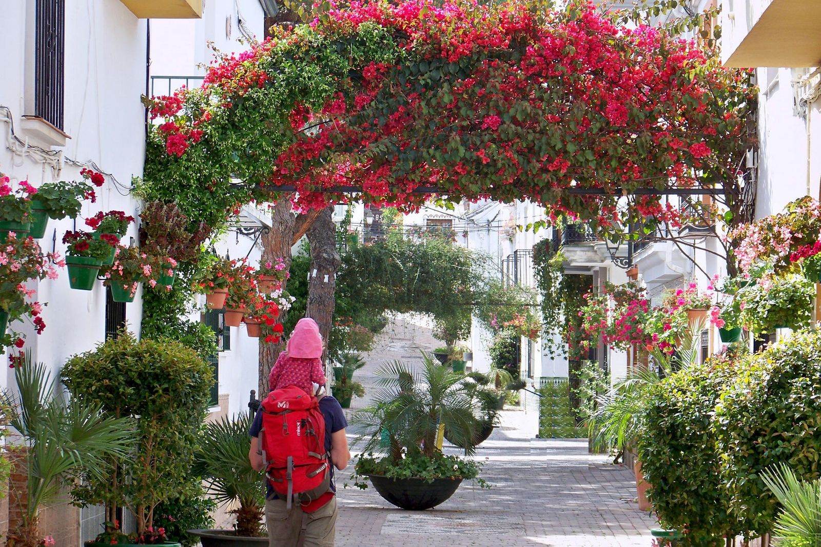 Las calles han sido ornamentadas con la colocación de flores y la plantación de árboles.