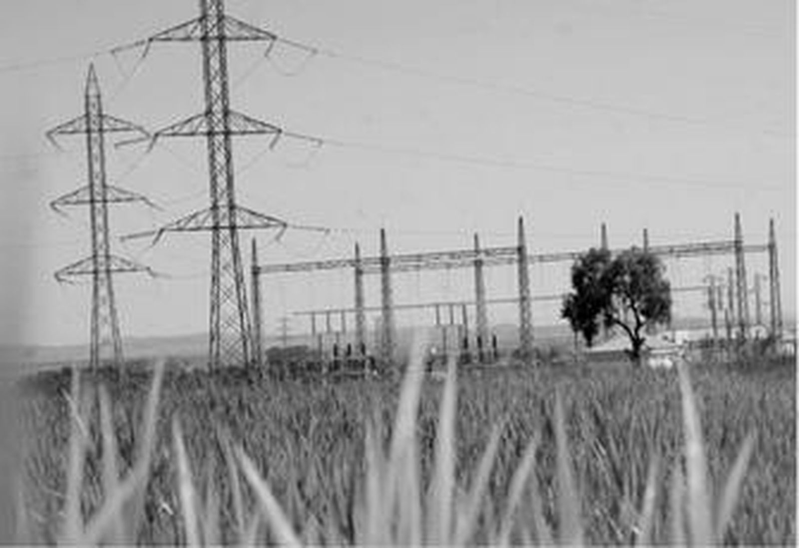 Torretas de electricidad junto a una parcela de la zona regable.