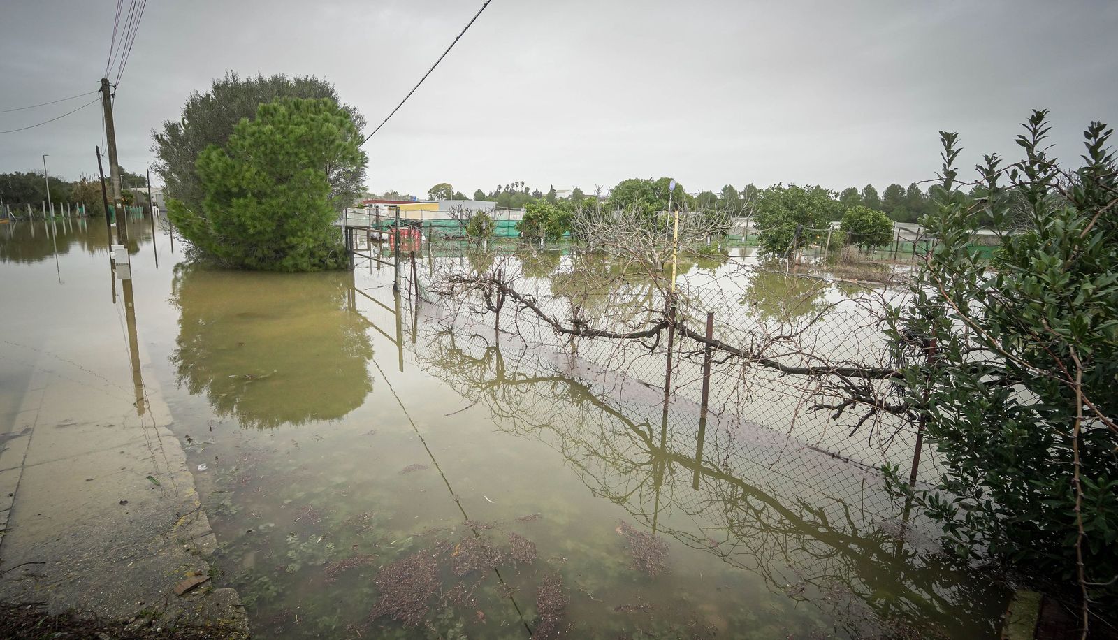 Imágenes de las zonas afectadas por la crecida del rio Guadalete en Jerez