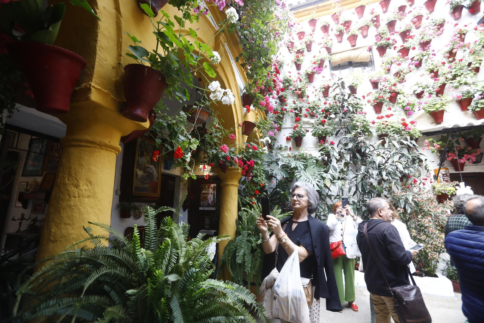 Colas e ilusión en el primer sábado de los Patios de Córdoba, en imágenes