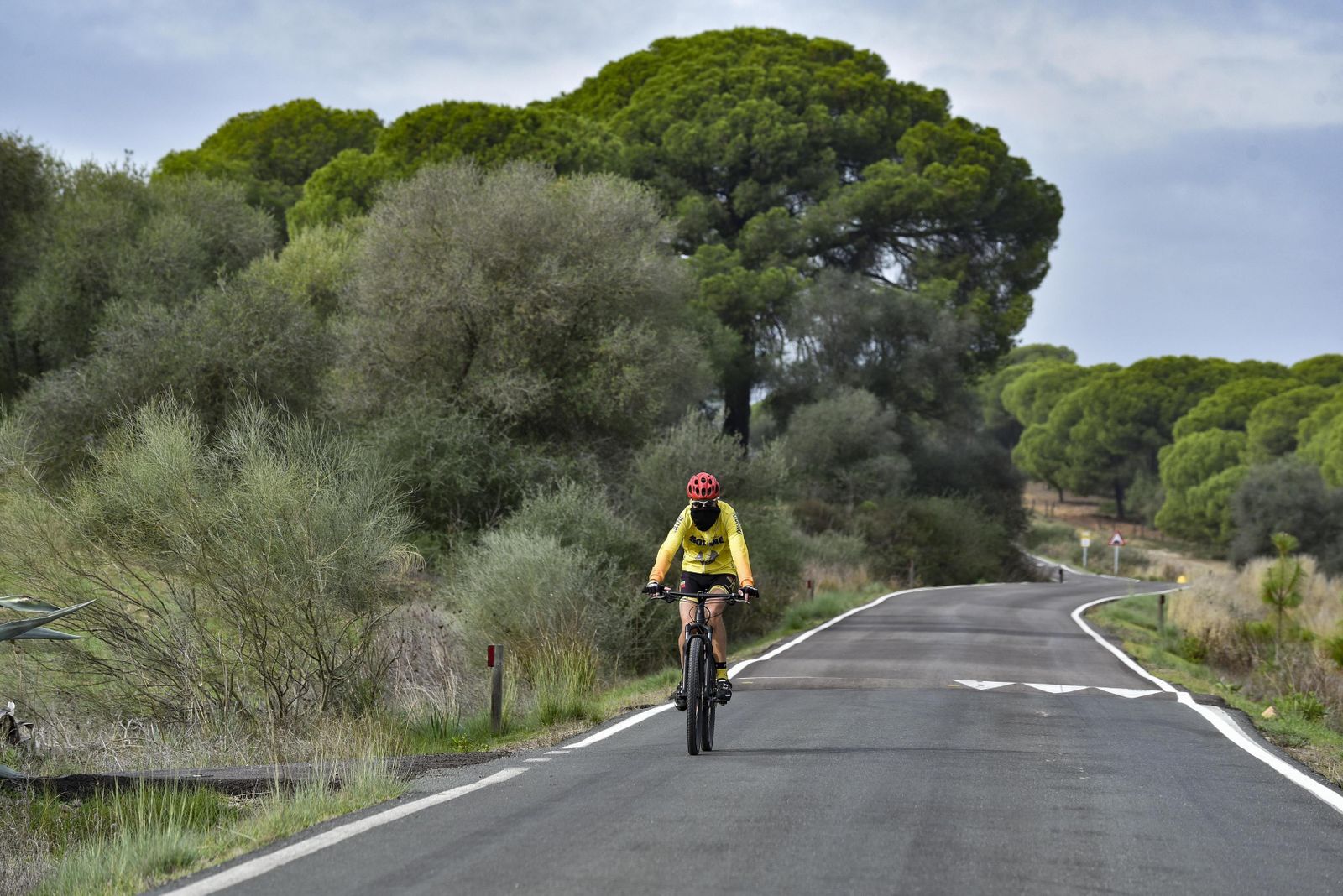 Un ciclista recorre una carretera de La Puebla del Río.