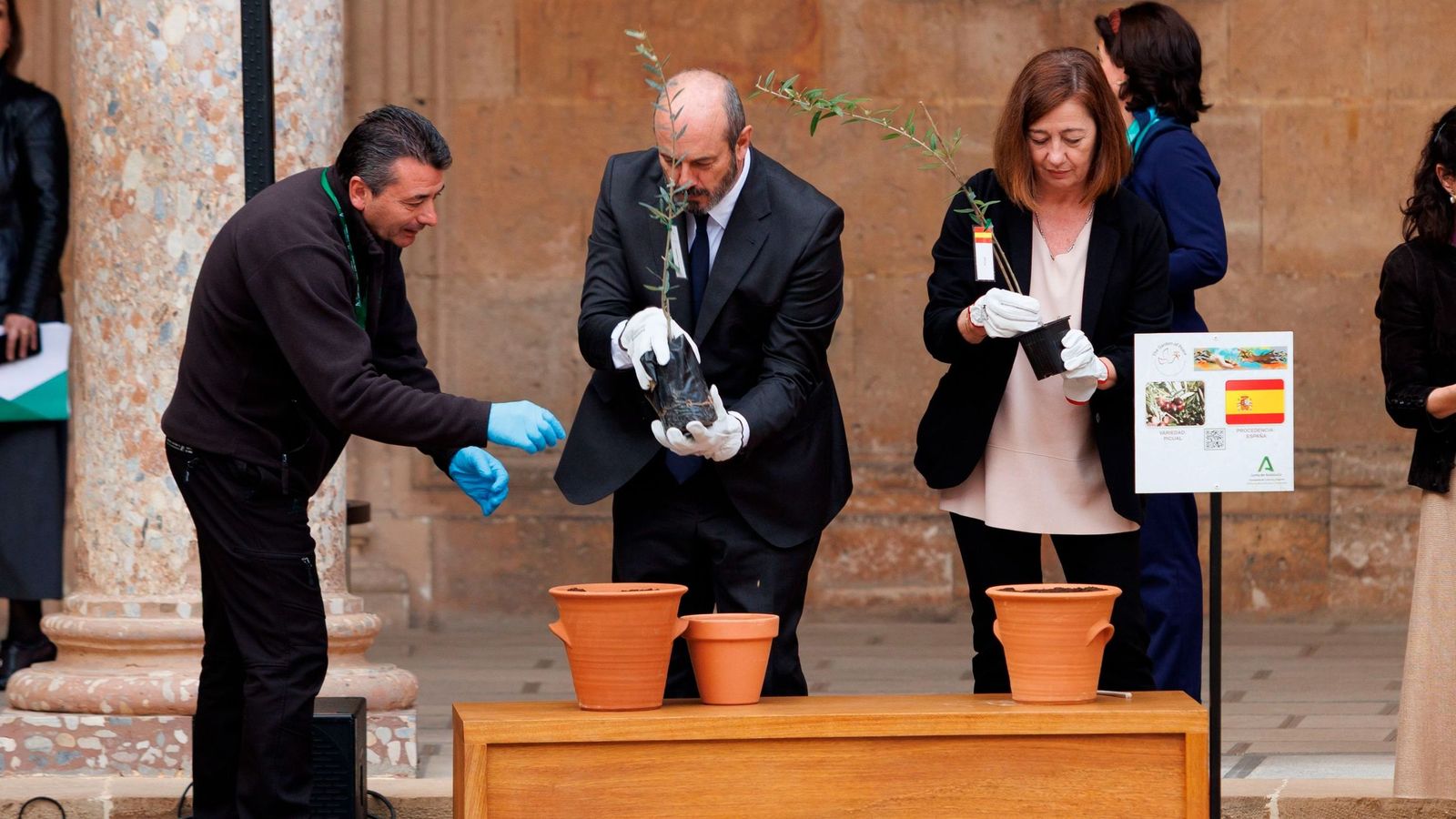 Los presidentes del Senado y del Congreso, Pedro Rollán y Francina Armengol, plantan ejemplares de olivo  en el Palacio de Carlos V.