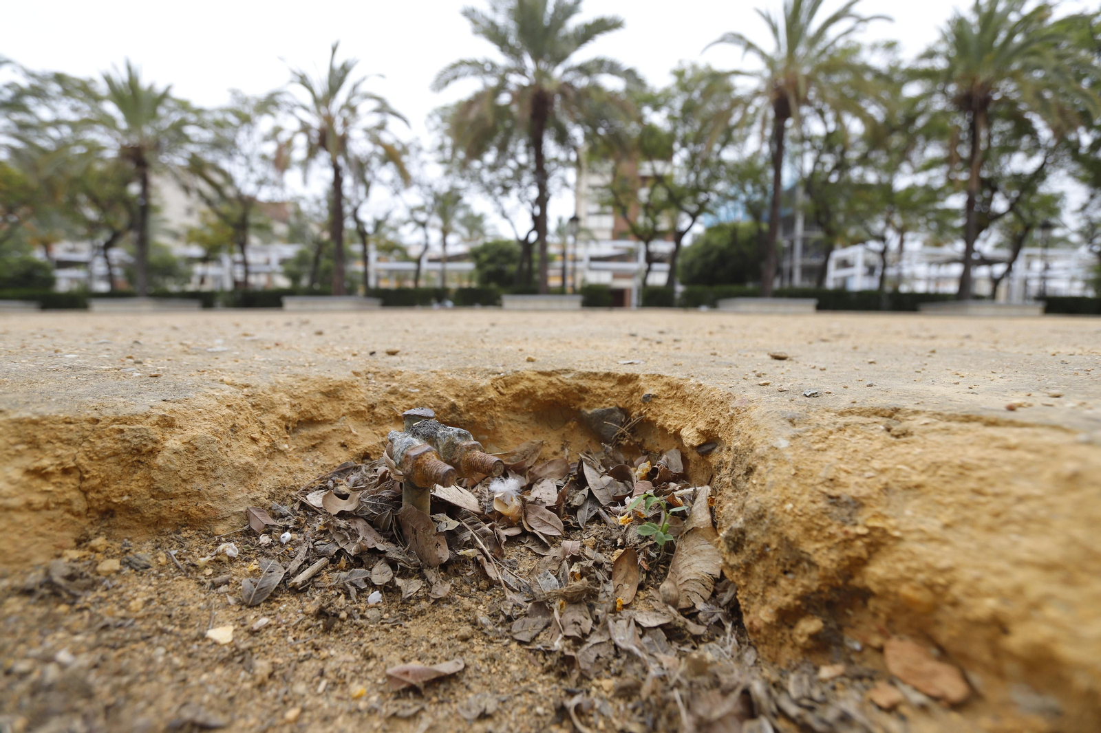 Imágenes del deterioro en la Avenida de Andalucía