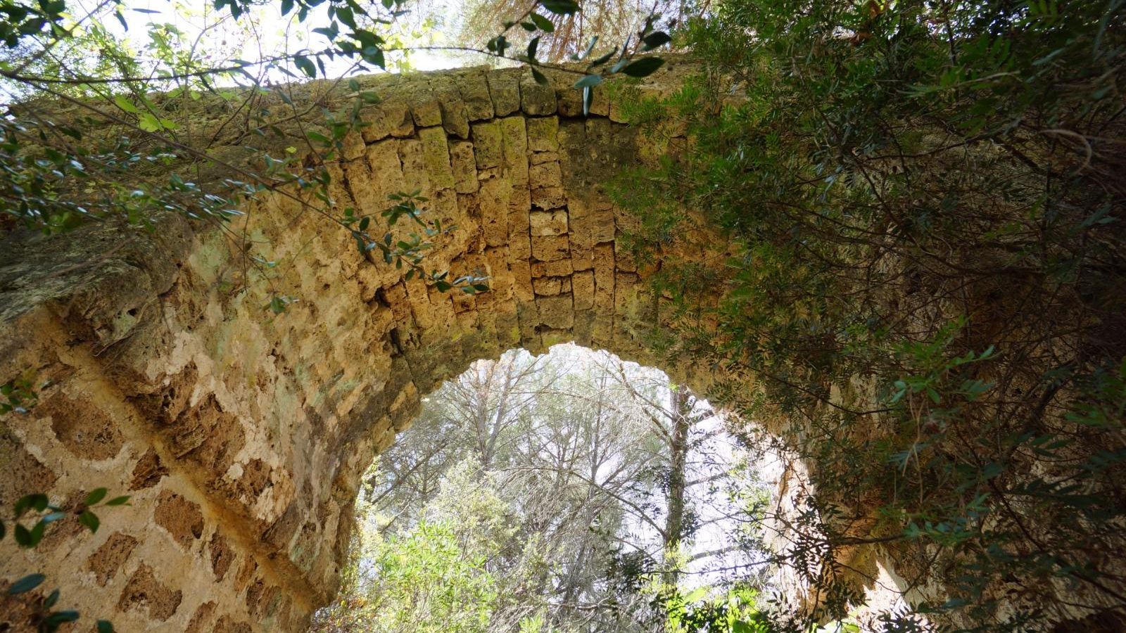 Detalle de la parte interna de uno de los arcos del puente califal de Villaviciosa de Córdoba. Detalle de la parte interna de uno de los arcos del puente califal de Villaviciosa de Córdoba.