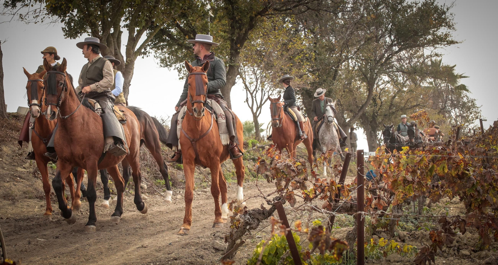 Búscate en la III Ruta Viñas de Jerez de Enganches