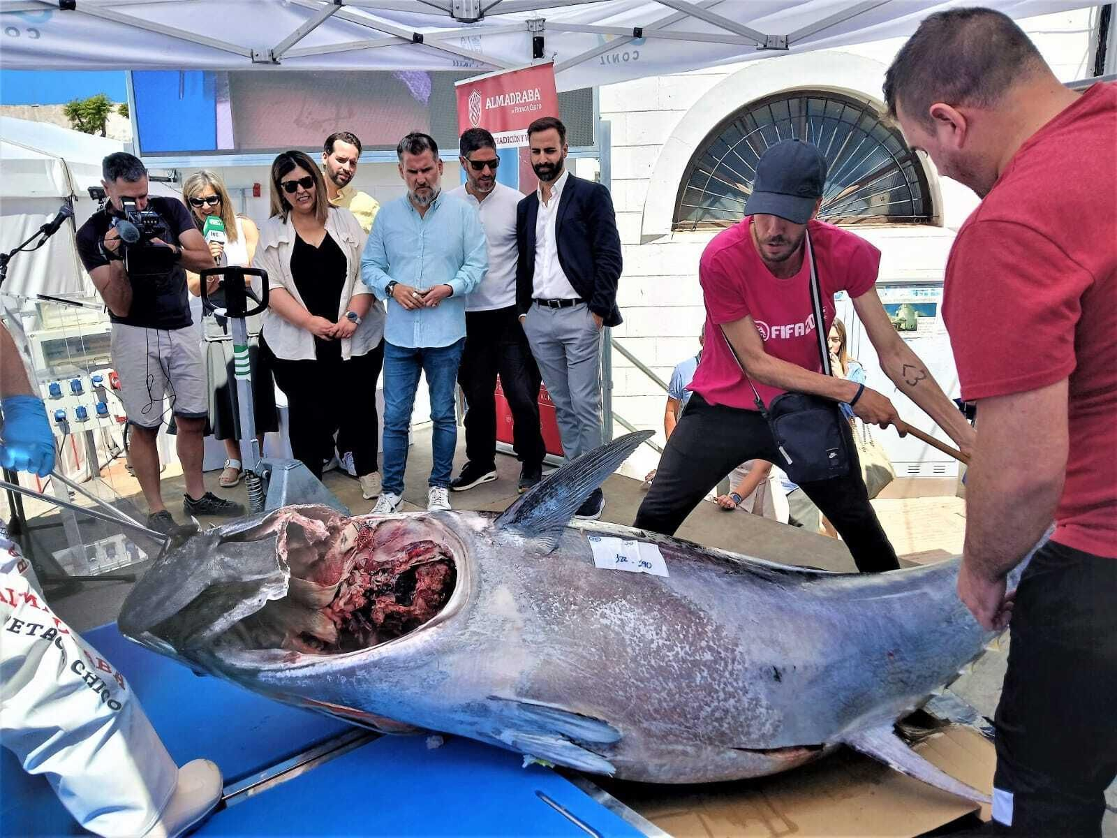 Semana del Atún de Conil