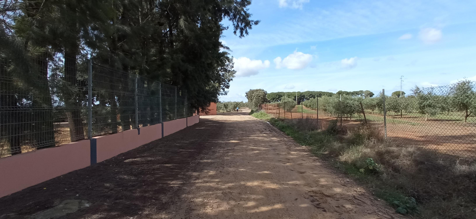 Las imágenes de la Ruta Azul en Bollullos de la Mitación