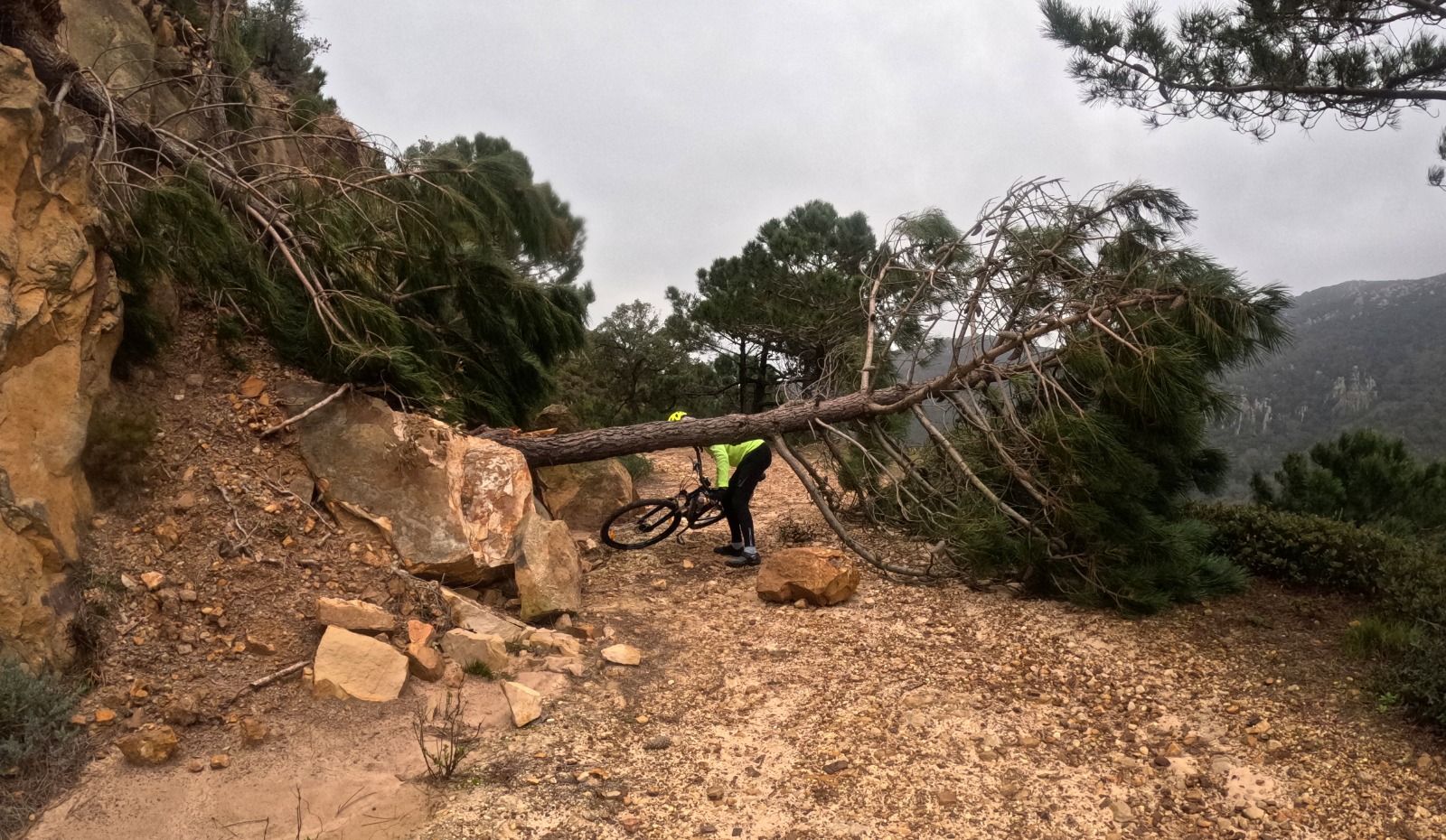 El carril de Las Corzas, destrozado tras los temporales