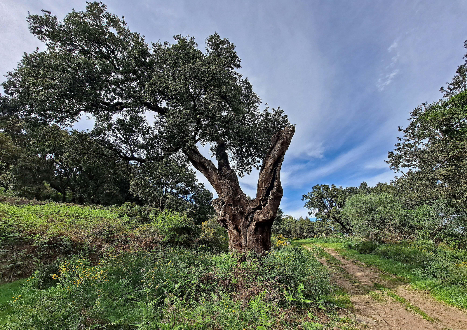 Fotos de la ruta de El Bujeo en Algeciras