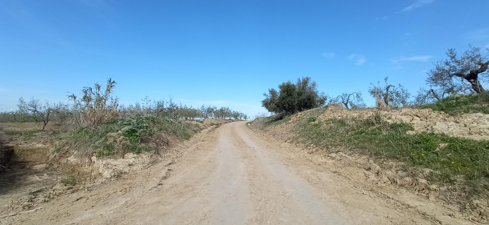 Las imágenes de la ruta de la dehesa de Albaida del Aljarafe