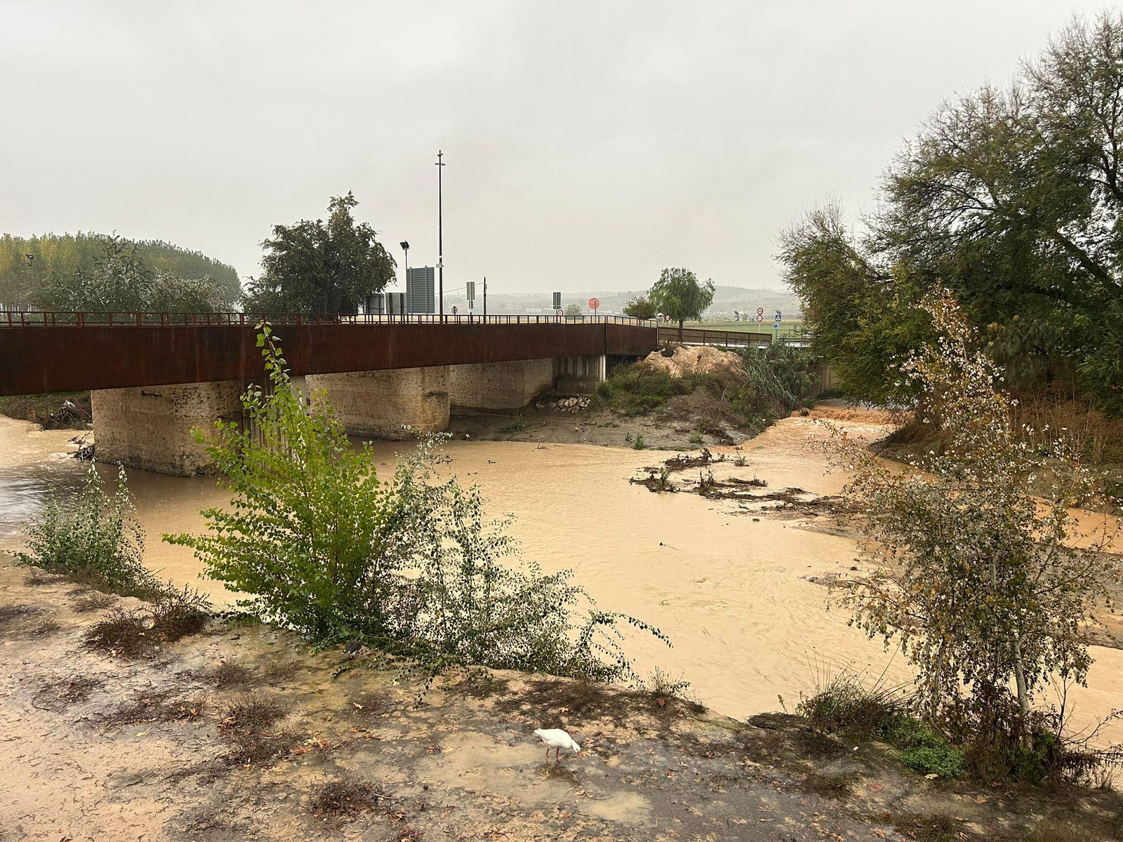 Galería | Todas las imágenes de la DANA que azota Granada este miércoles