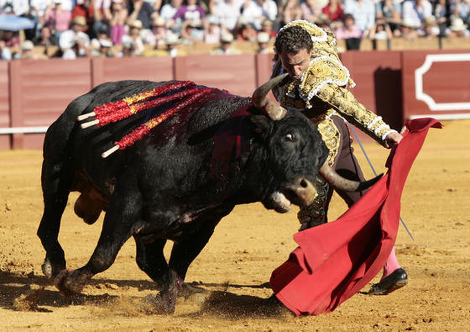 El diestro Rafaelillo en plena faena con el segundo Miura de la tarde.

Foto: Juan Carlos Muñoz