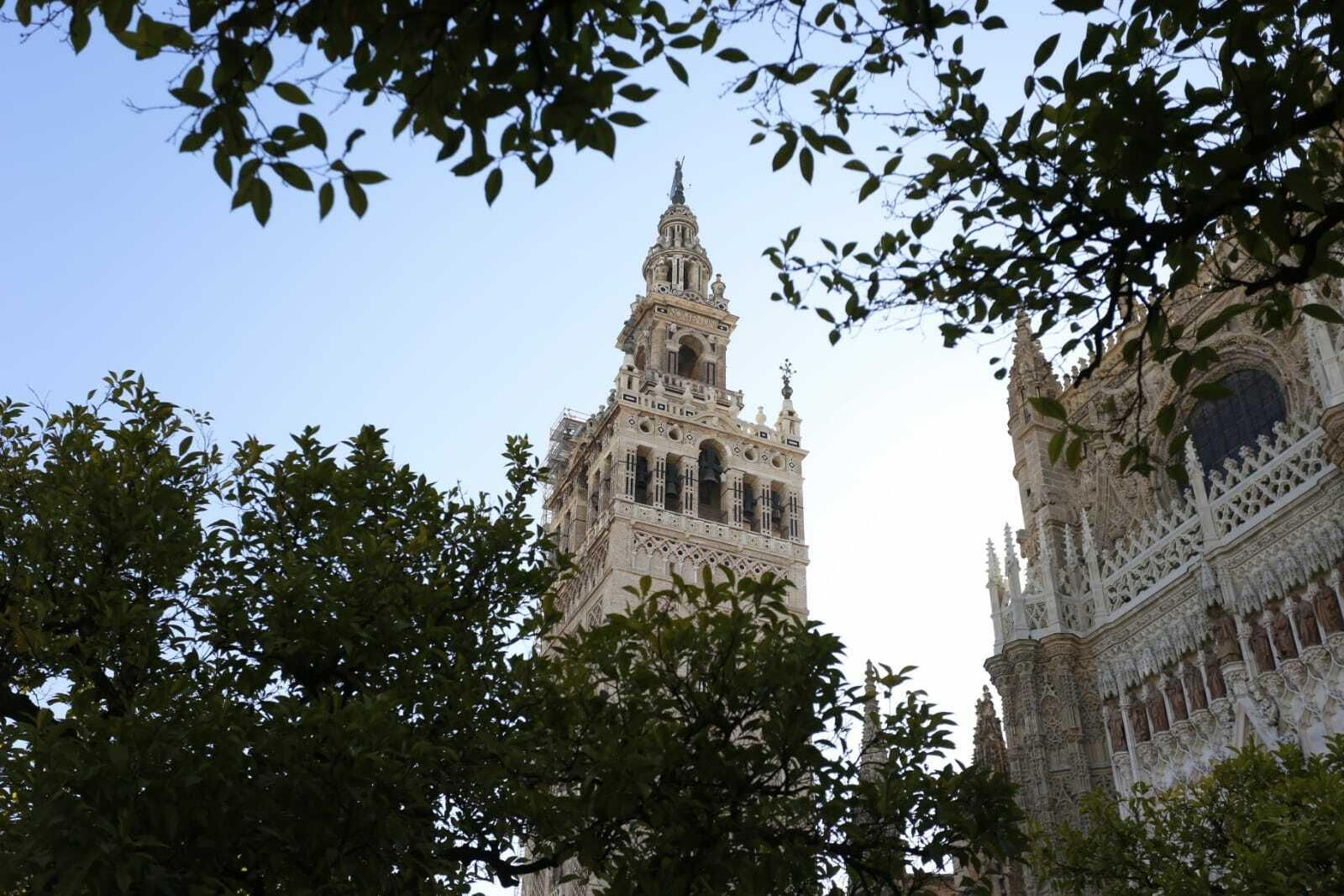 Vista general de la Giralda desde el Patio de los Naranjos.