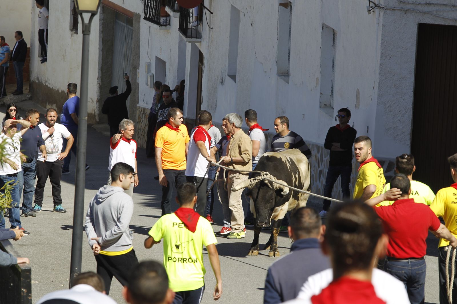 Fotogalería Tosos Ensogaos Ohanes. Fiestas San Marcos.