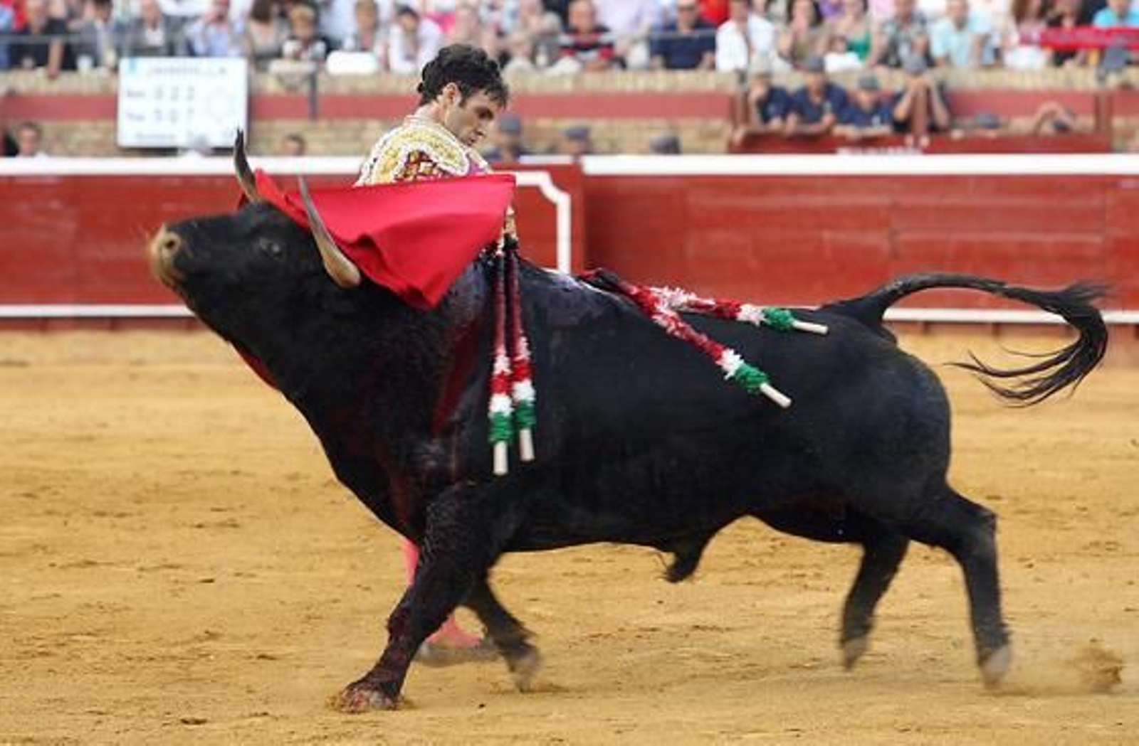 José Tomás y Morante de La Puebla llenaron de toreo la Plaza de Toros de la Merced en un mano a mano admirable

Foto: Espinola
