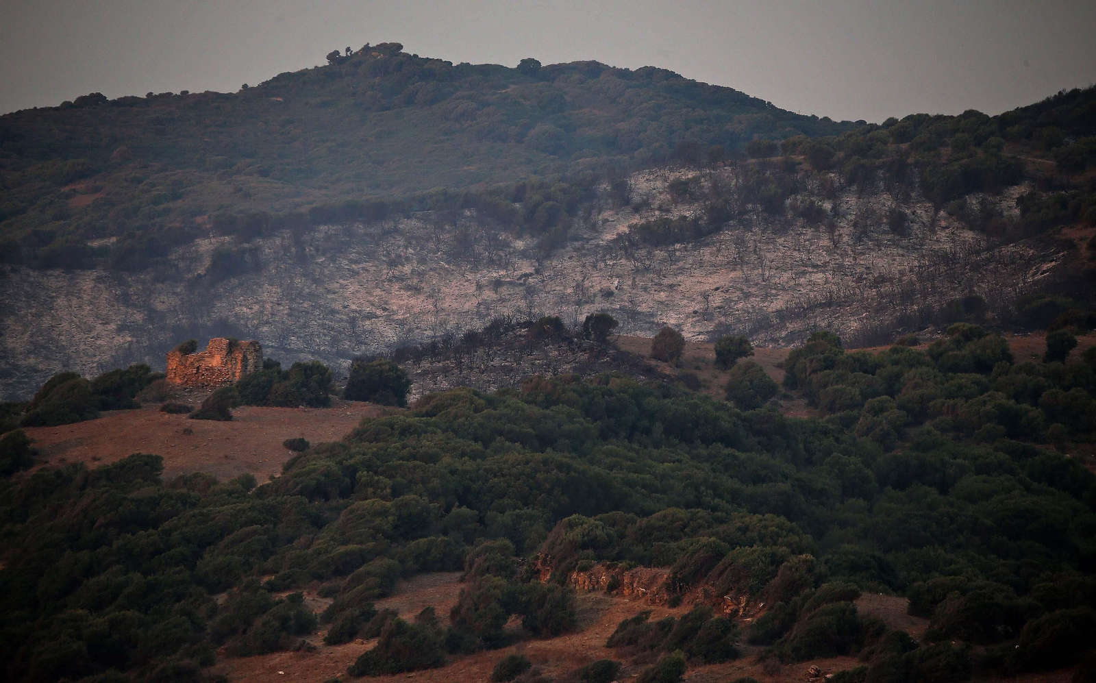 El incendio forestal  de Algeciras, en imágenes