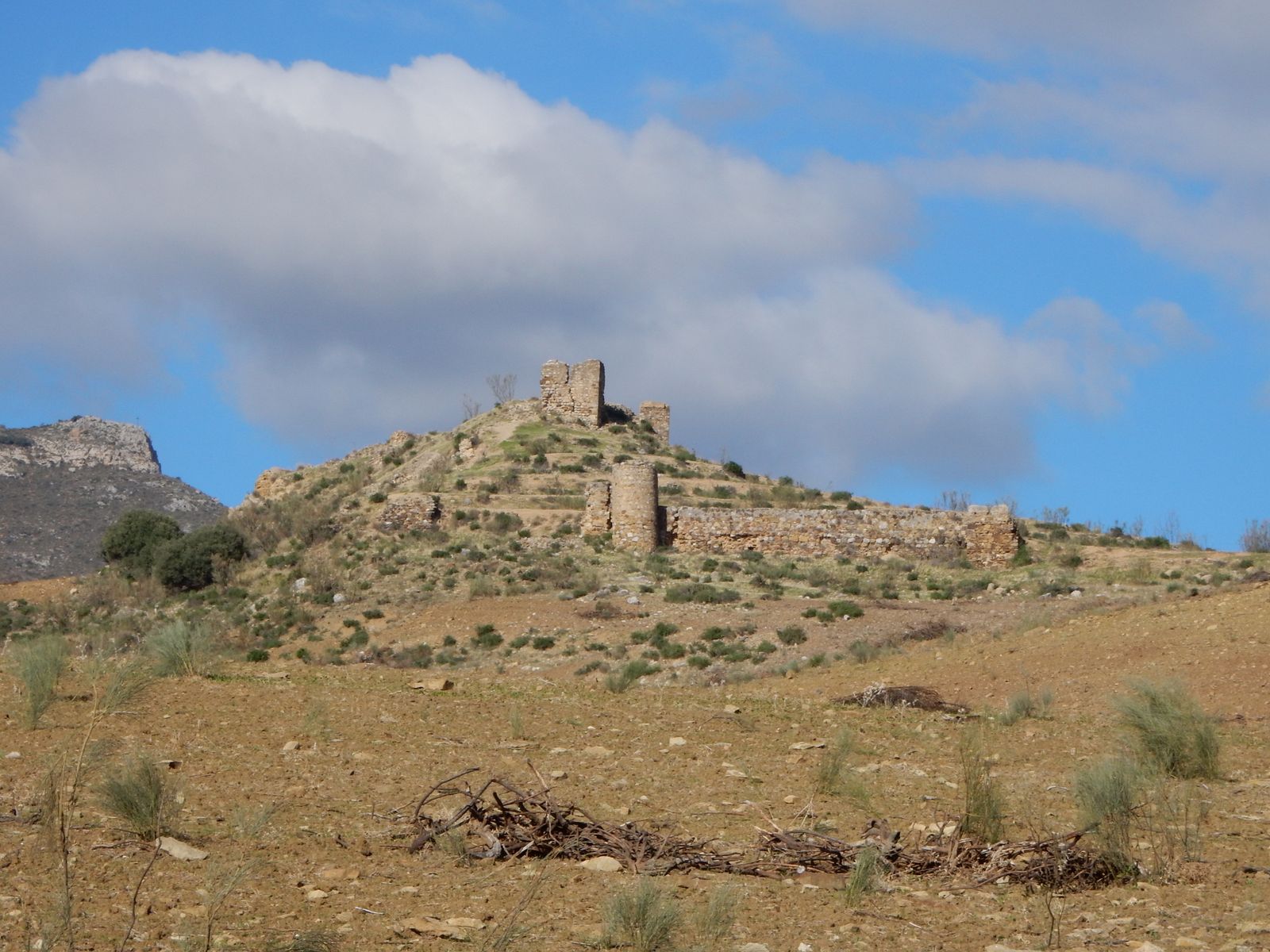 Castillo de Zalia (Alcaucín)