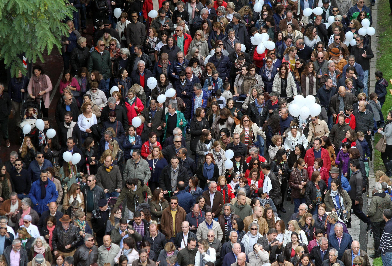 Manifestación por una sanidad pública digna