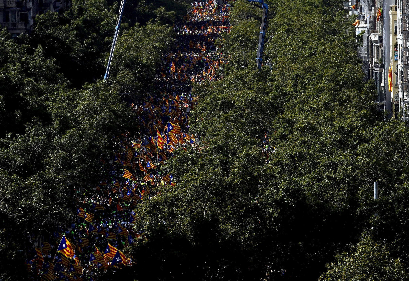 La manifestación independentista de la Diada, en imágenes