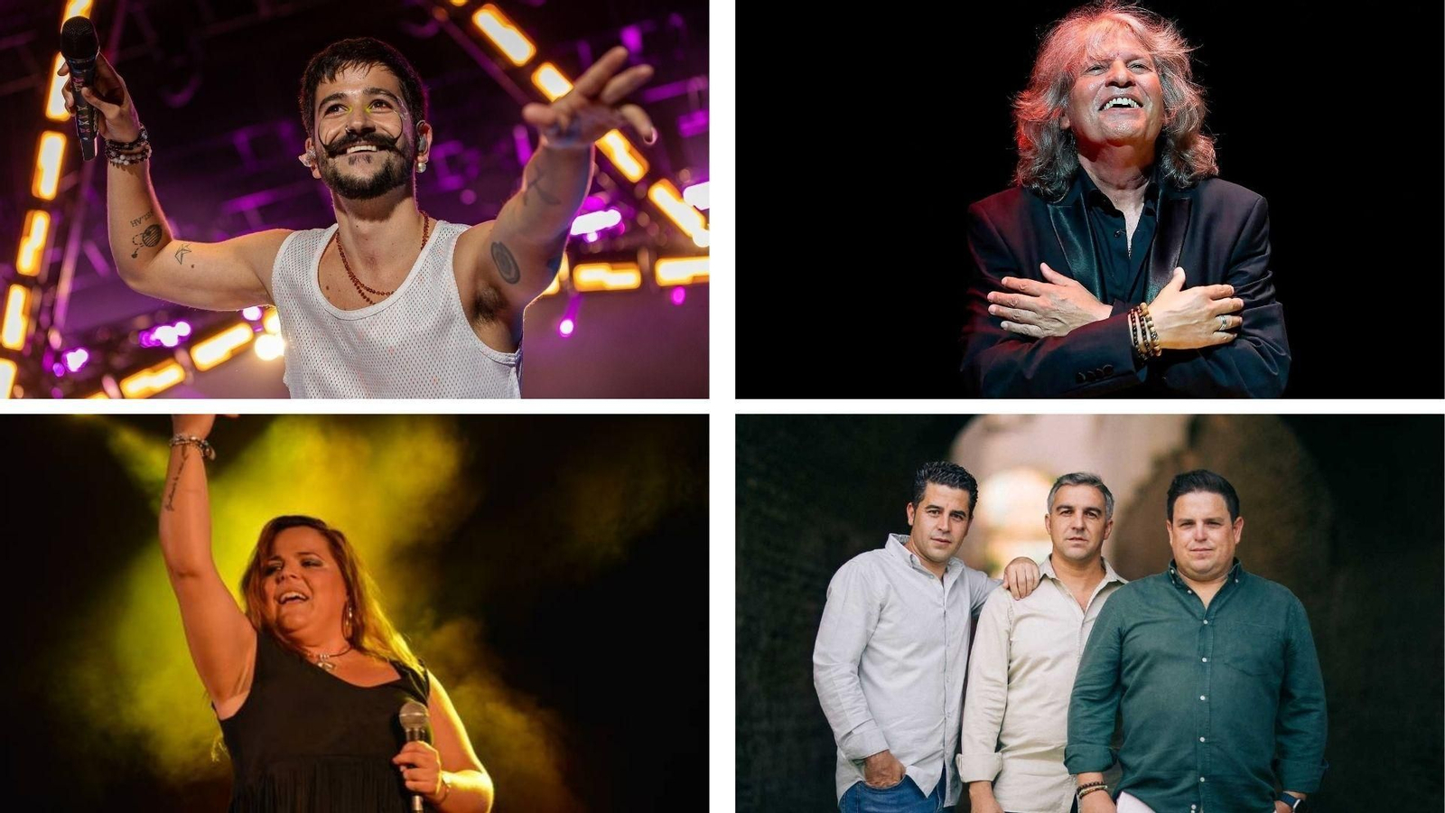 Conciertos de este viernes en la provincia.