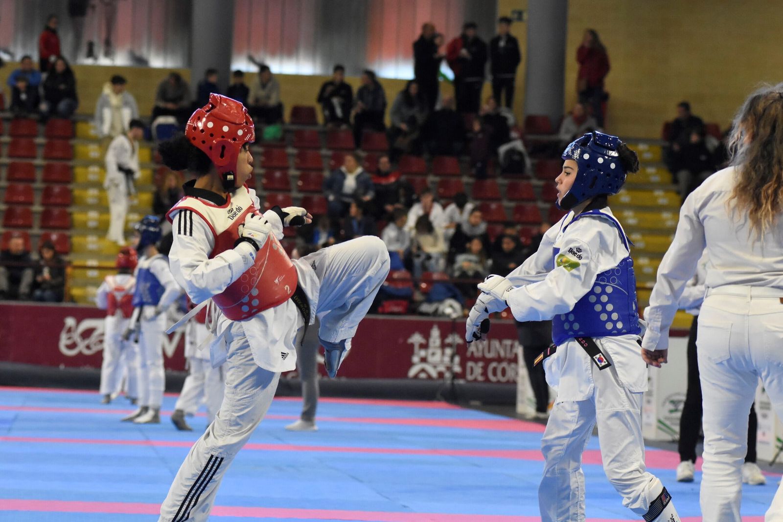 Las mejores fotos del Open Internacional de Taekwondo celebrado en Córdoba