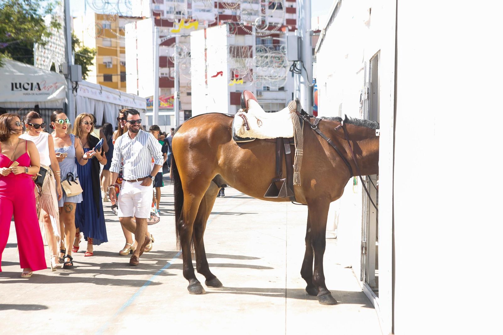 Un caballo en una de las entradas laterales de una caseta, con su dueño cogiéndolo desde el interior.