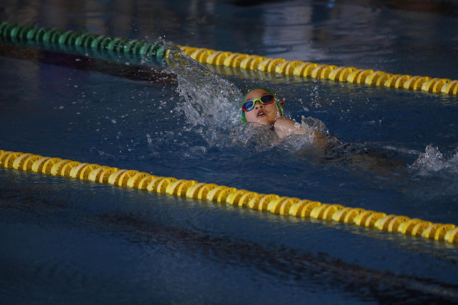 Las fotos del torneo de natación en Los Barrios