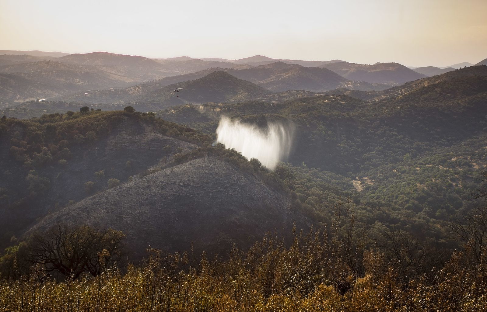El incendio forestal de El Ronquillo, en imágenes