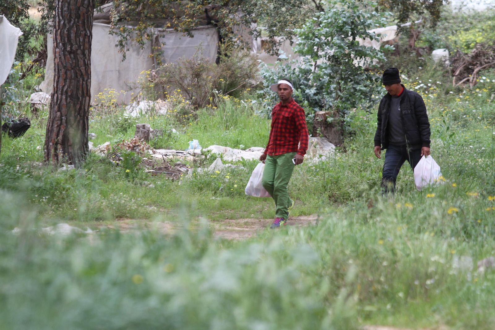 El sabor amargo de la fresa