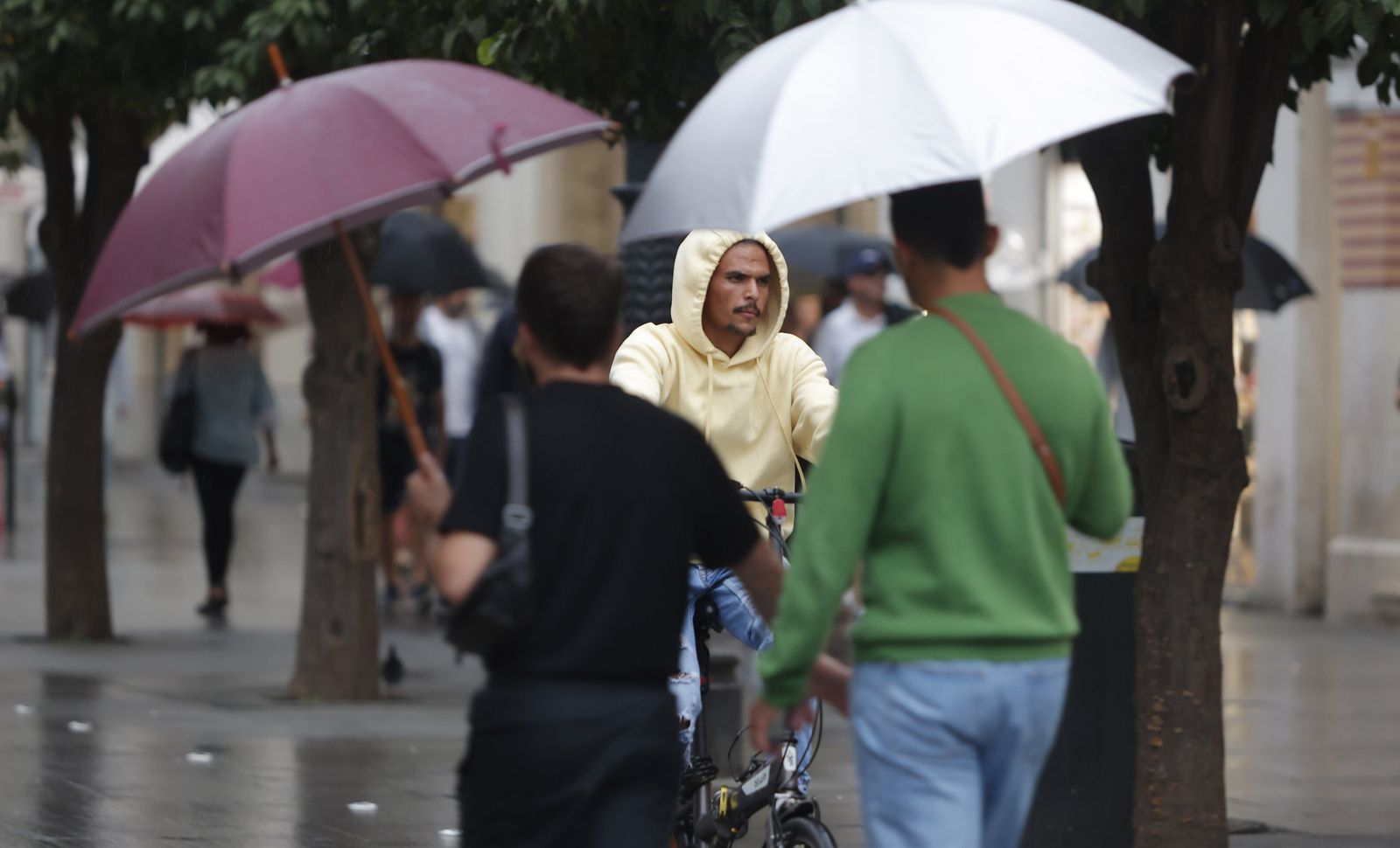 Llegan a sevilla Las primeras lluvias de la borrasca Armand