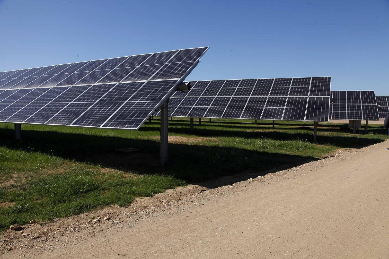 Placas solares de la planta fotovoltaica Huelva 2020, de 50MW, que la compañía Alter Enersun ha levantado en el término municipal de Gibraleón e inaugurada hace unos meses.