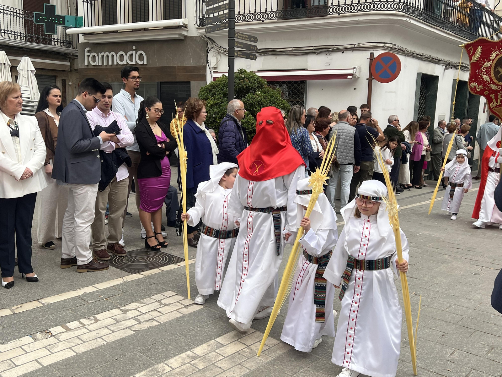 La procesión de La Pollinica de Priego de Córdoba el Domingo de Ramos 2024, en imágenes